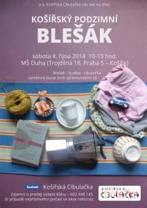 14-Blesak