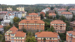Cibulky_z_veze_sv_Jana524